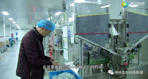 生態(tài)科技新城 以創(chuàng)新引擎助推民營(yíng)經(jīng)濟(jì)發(fā)展，多名企業(yè)家榮獲“科技企業(yè)家”稱(chēng)號(hào)